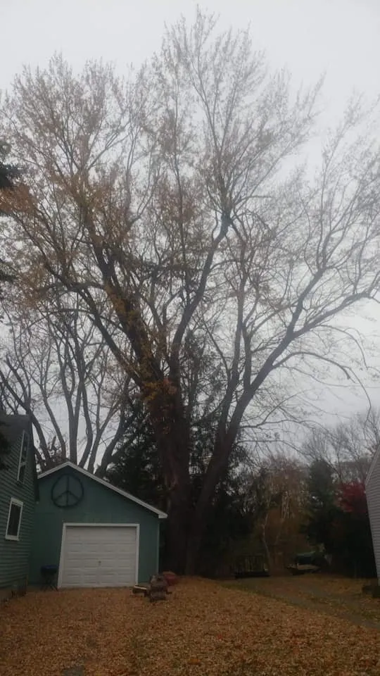 Professional yard maintenance in Charleston, ME by Blue Water Tree & Lawn