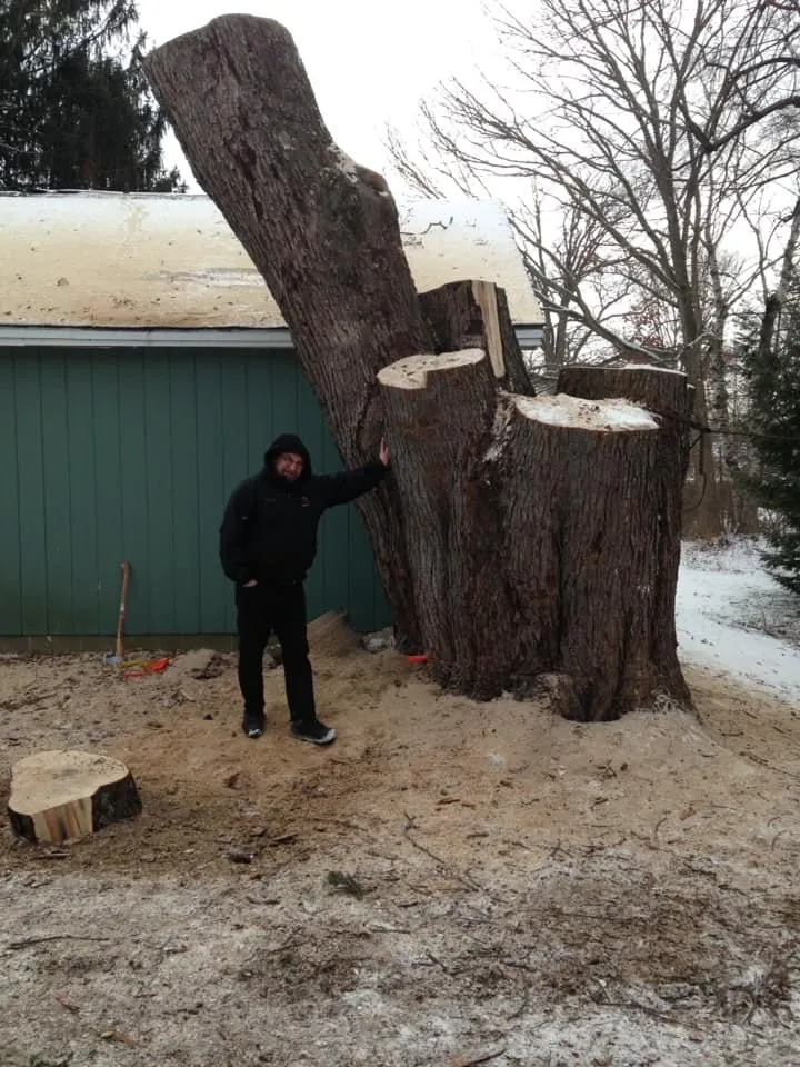 Reliable lawn mowing service in Charleston, ME - Blue Water Tree & Lawn