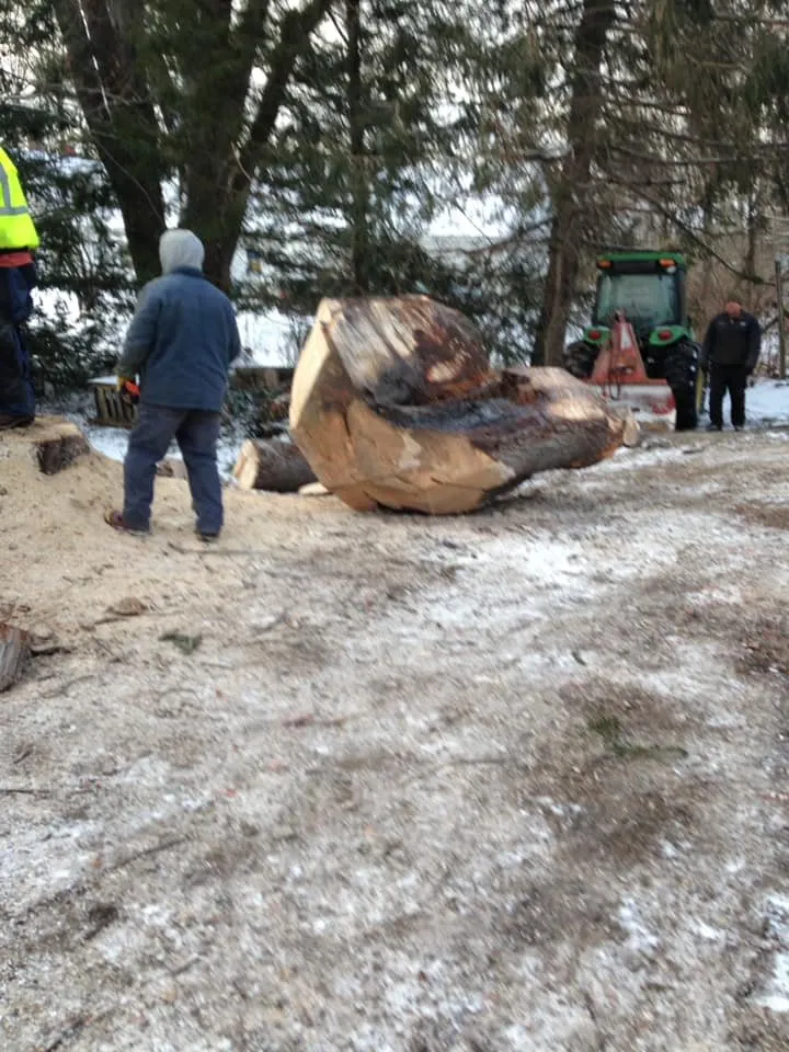 Reliable landscaping services in Charleston, ME - Blue Water Tree & Lawn