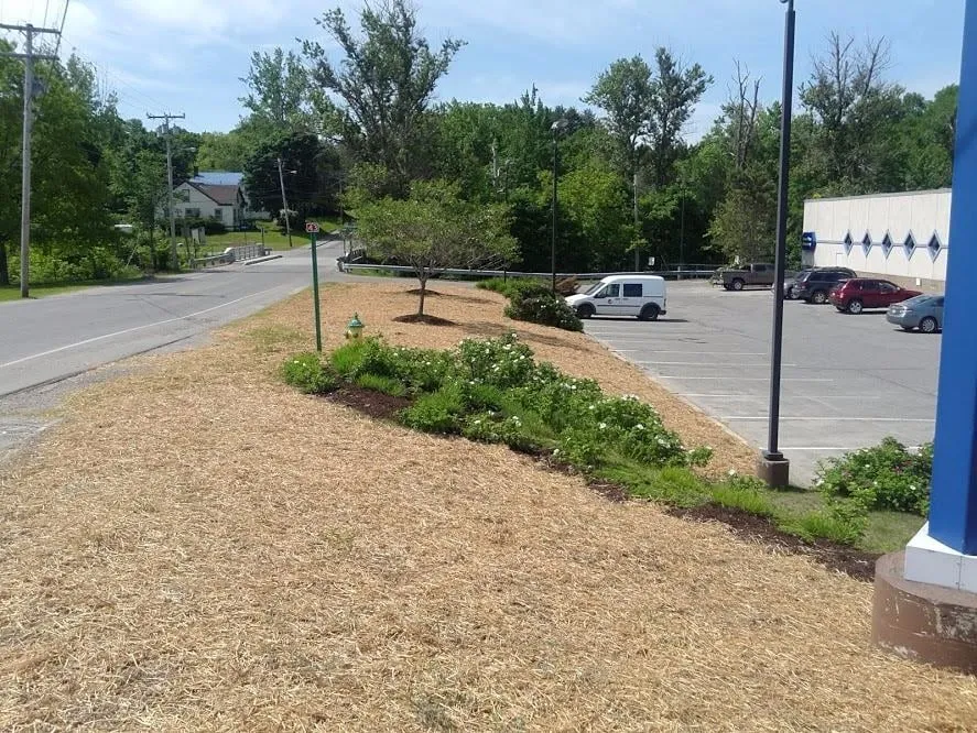 Expert landscape design for outdoor upgrades in Charleston, ME by Blue Water Tree & Lawn