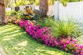 Expert lawn mowing service in St. Petersburg, FL - Blue Wave Lawncare
