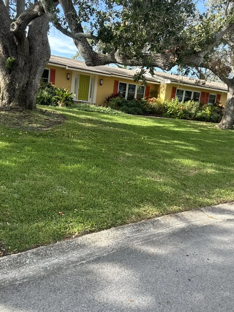 Top-rated residential landscaping for residential properties across St. Petersburg, FL - Blue Wave Lawncare