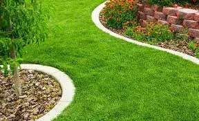 Affordable yard maintenance for beautiful yards across St. Petersburg, FL - Blue Wave Lawncare
