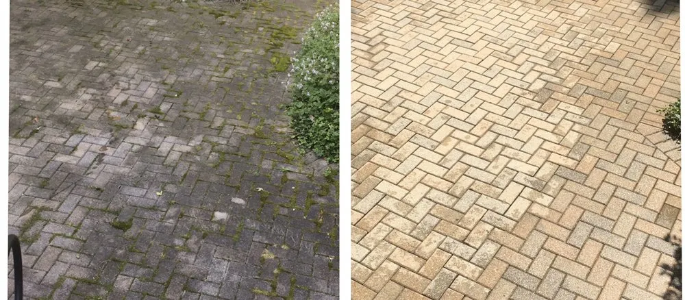 Top-rated landscaping services in West Jefferson, NC by Blue wave pressure washing and landscaping