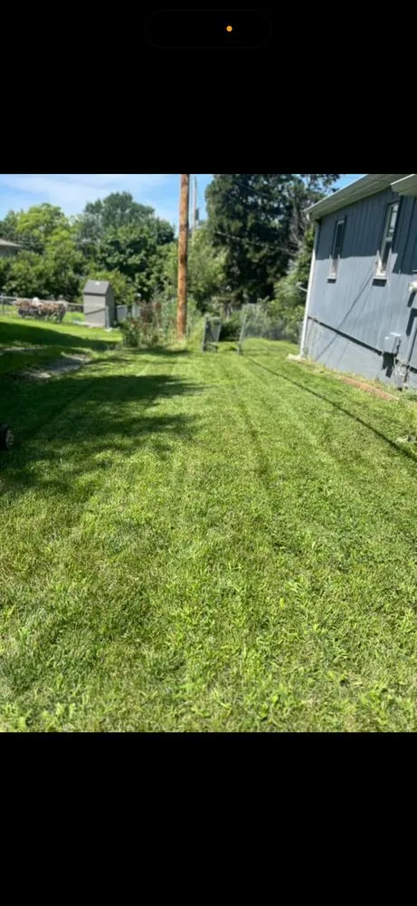 Top-rated residential landscaping in Omaha, NE - Blue Yeti Landscaping