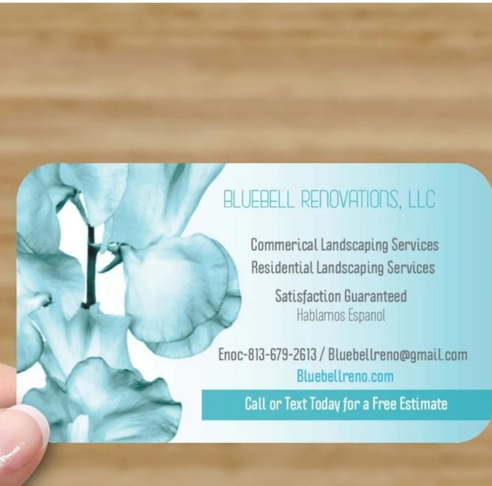 Top-rated landscape installation for homes in Tampa Bay, FL by Bluebell Renovations