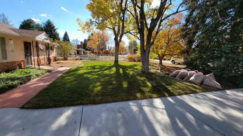 Trusted yard maintenance in Coralville, IA - Bluebird Landscape