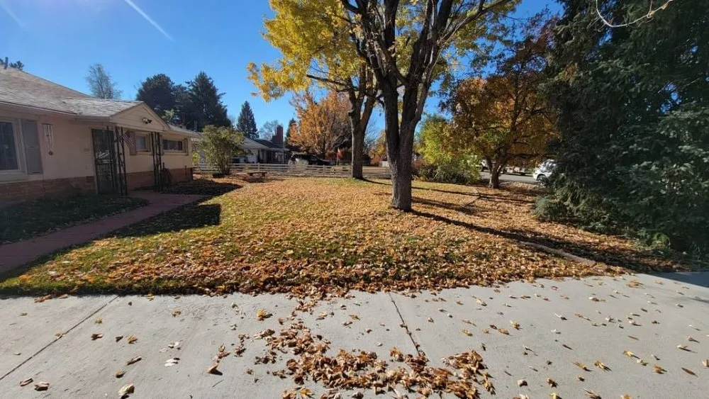 Affordable landscape installation for residential properties in Coralville, IA by Bluebird Landscape