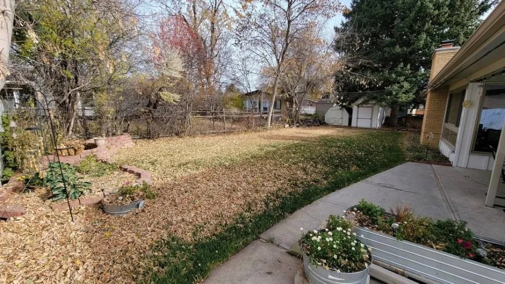 Professional lawn mowing service in Coralville, IA by Bluebird Landscape