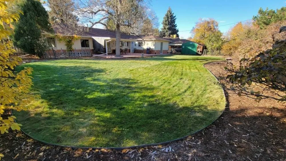 Top-rated yard maintenance for homes across Coralville, IA - Bluebird Landscape