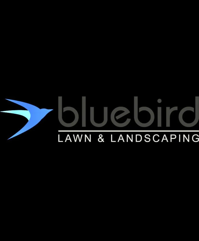 Reliable landscape installation for outdoor upgrades across Kendale Lakes, FL - Bluebird landscaping
