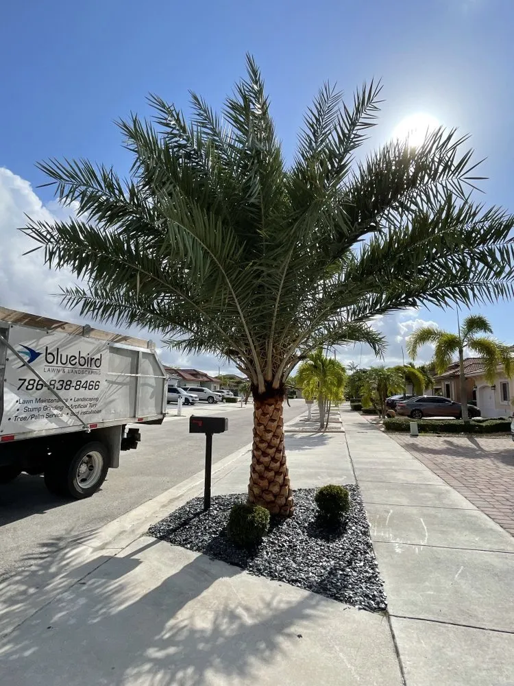 Custom landscape design experts serving Kendale Lakes, FL - Bluebird landscaping