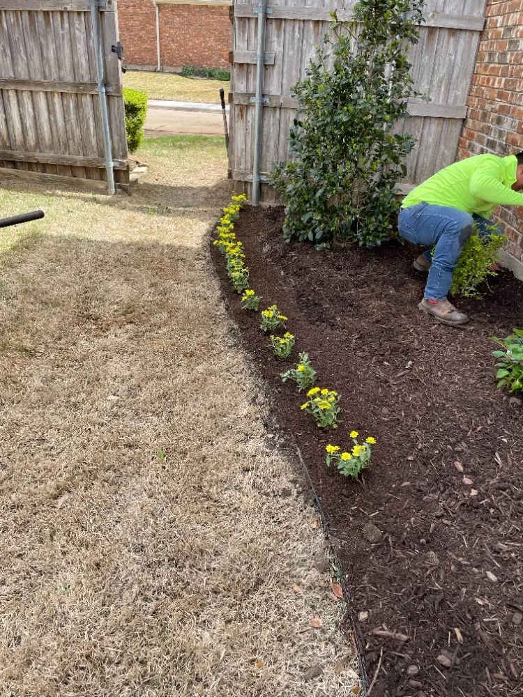 Top-rated lawn care service experts serving Richardson, TX - Bluebonnet Gardens Lawn Care Service