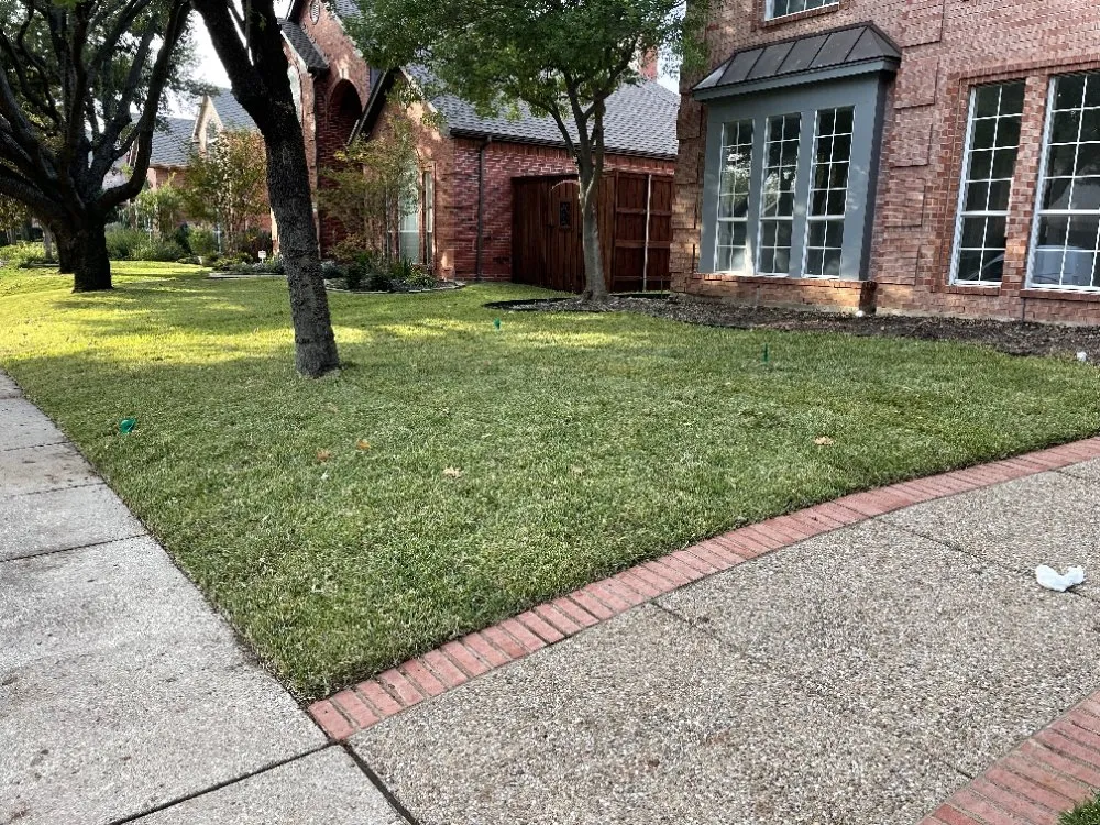 Trusted landscape design for homes in Richardson, TX by Bluebonnet Gardens Lawn Care Service