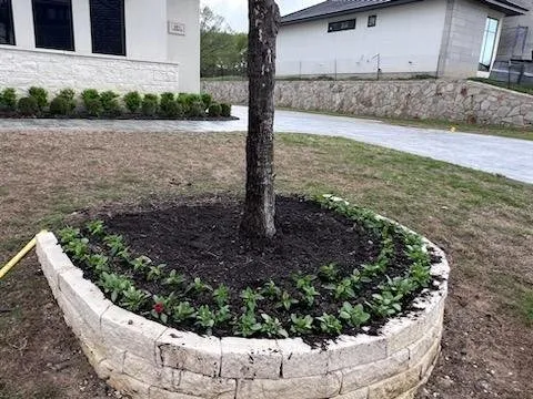 Trusted landscaping services in Richardson, TX - Bluebonnet Gardens Lawn Care Service