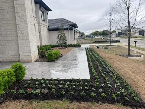 Affordable lawn mowing service in Richardson, TX - Bluebonnet Gardens Lawn Care Service