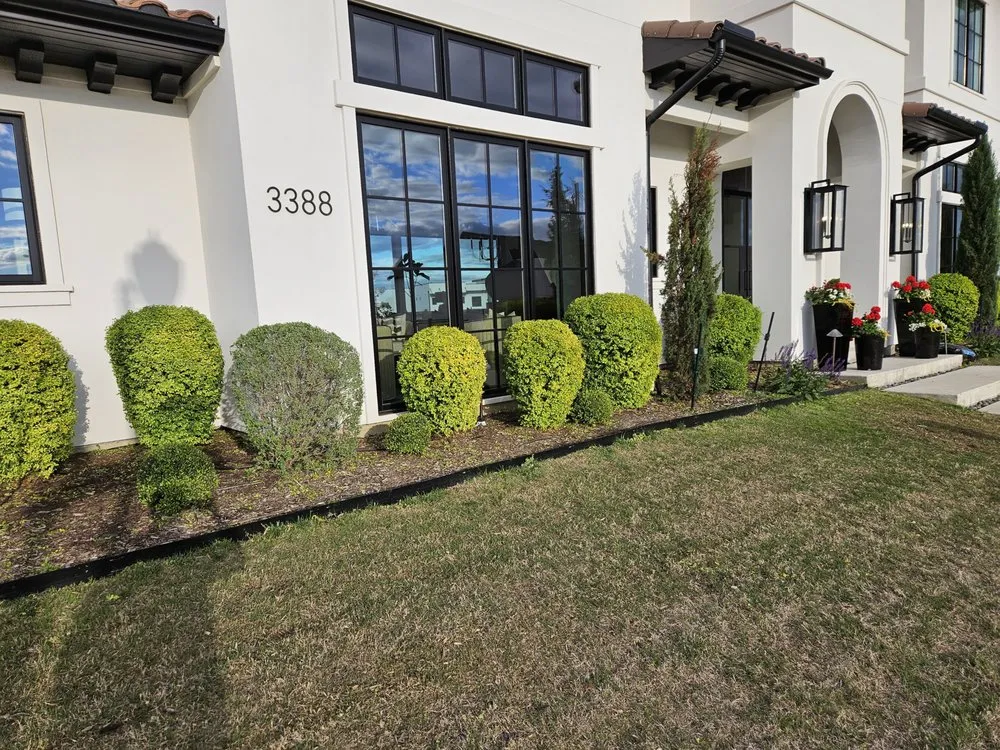 Custom landscape installation for year-round maintenance in Richardson, TX by Bluebonnet Gardens Lawn Care Service