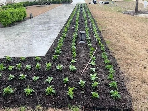 Expert lawn care service in Richardson, TX - Bluebonnet Gardens Lawn Care Service