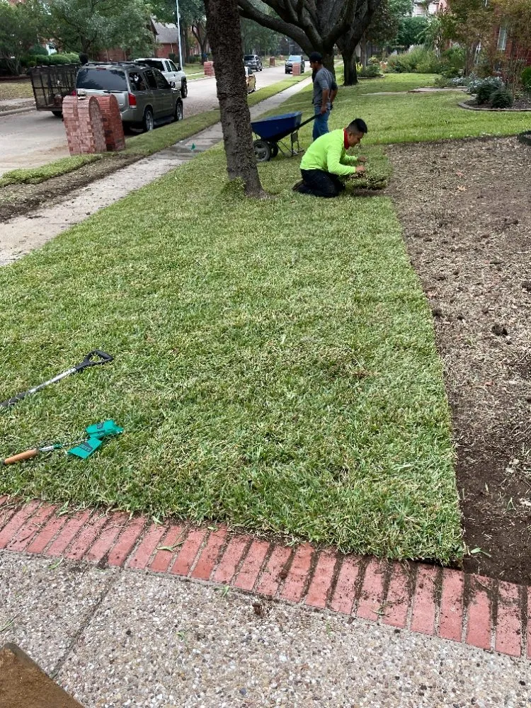 Affordable residential landscaping in Richardson, TX by Bluebonnet Gardens Lawn Care Service