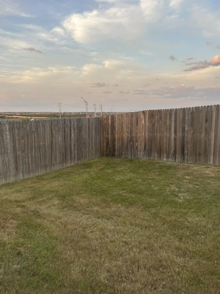 Expert yard maintenance for residential properties in San Antonio, TX by Bluebonnet Land Services