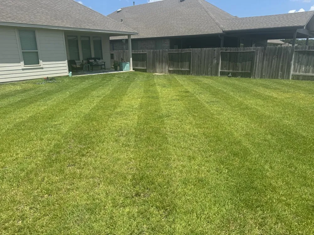 Professional lawn care service for homes in Montgomery, TX by Bluebonnet Lawn & Landscape