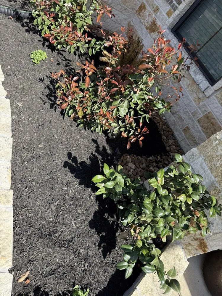 Reliable residential landscaping for year-round maintenance in Montgomery, TX by Bluebonnet Lawn & Landscape