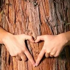 Trusted landscape design experts serving Kingsland, TX - Bluebonnet Lawn and Tree