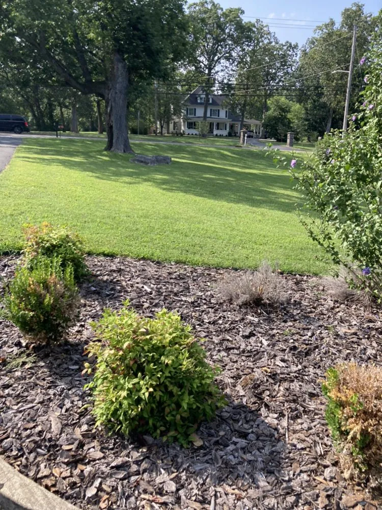 Expert lawn mowing service for residential properties in Bowling Green, KY by Bluecollar Lawn & Landscape