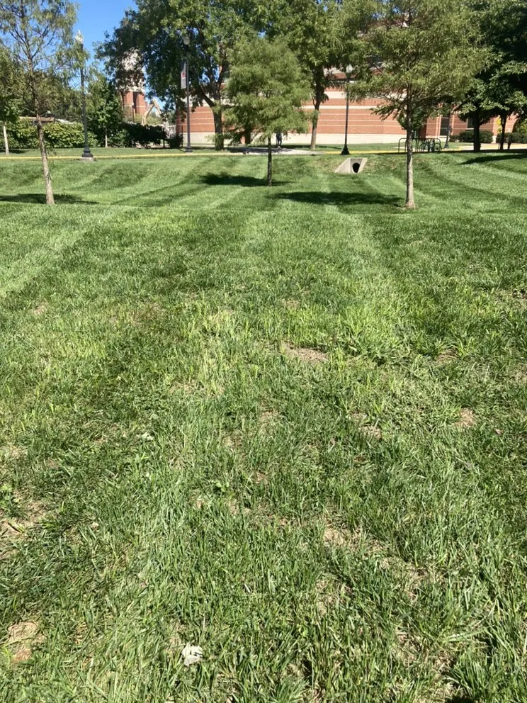 Expert landscape design in Bowling Green, KY by Bluecollar Lawn & Landscape