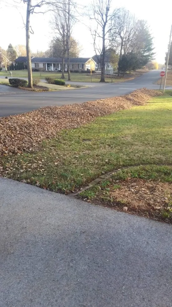 Affordable lawn care service in Bowling Green, KY - Bluecollar Lawn & Landscape