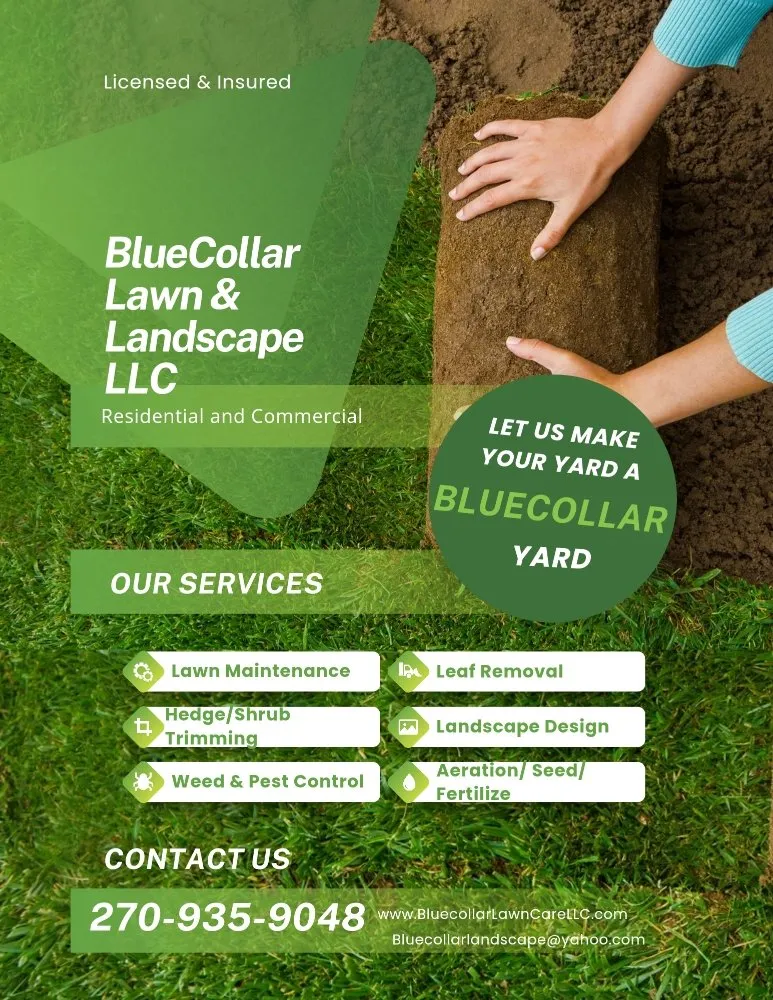 Professional landscape installation for beautiful yards in Bowling Green, KY by Bluecollar Lawn & Landscape