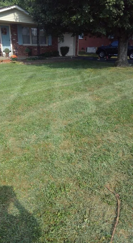 Custom outdoor landscaping with custom design across Bowling Green, KY - Bluecollar Lawn & Landscape