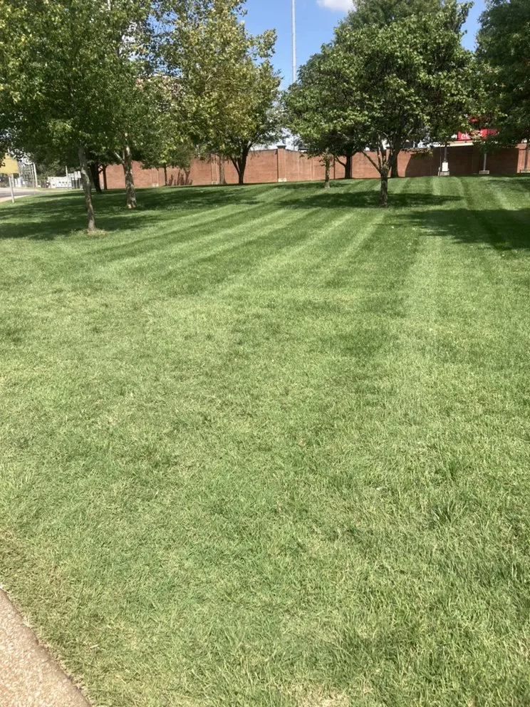 Top-rated landscape design for year-round maintenance across Bowling Green, KY - Bluecollar Lawn & Landscape