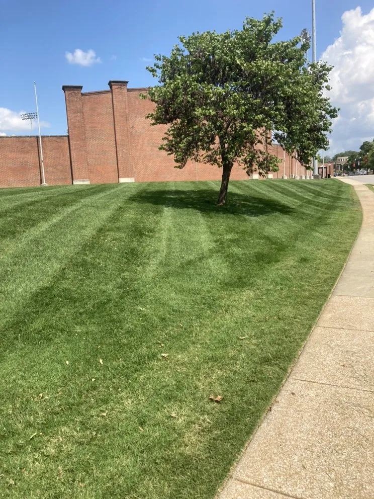 Reliable landscape design in Bowling Green, KY - Bluecollar Lawn & Landscape