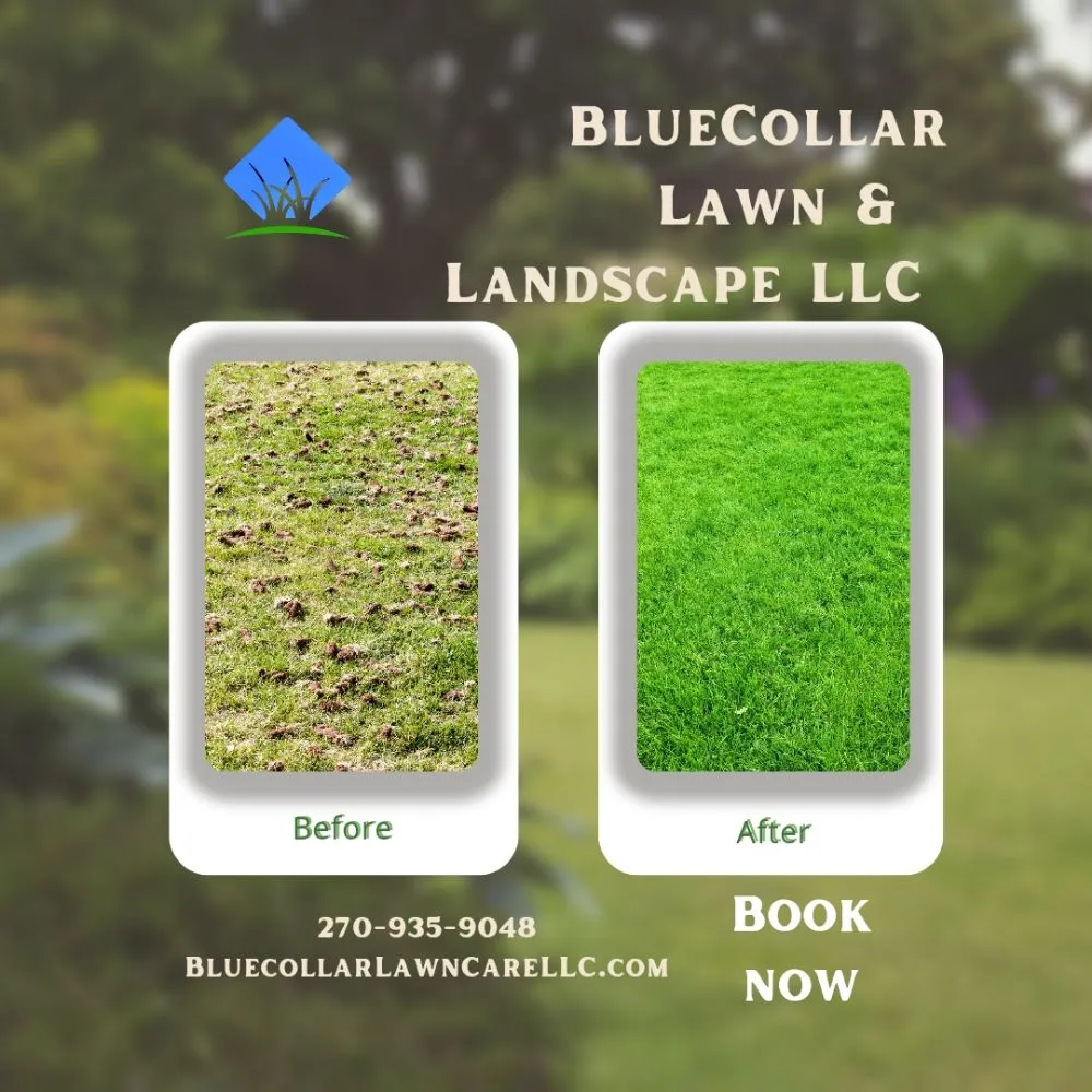 Expert landscaping services in Bowling Green, KY - Bluecollar Lawn & Landscape