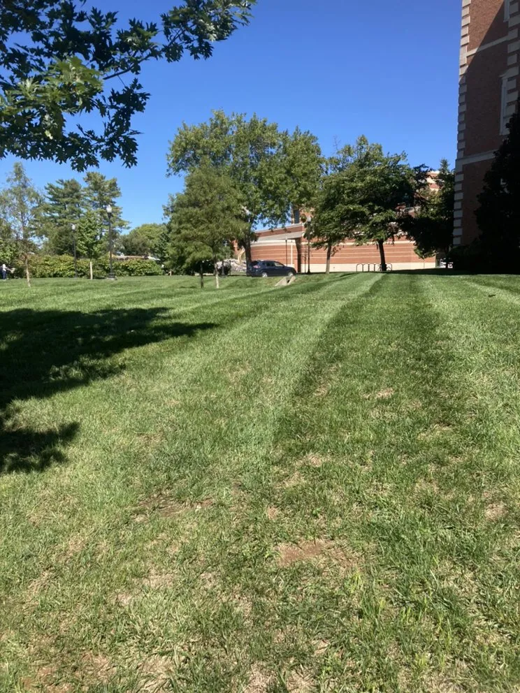 Local yard maintenance in Bowling Green, KY by Bluecollar Lawn & Landscape