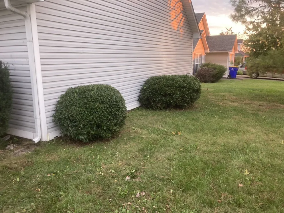 Reliable garden landscaping for year-round maintenance across Bowling Green, KY - Bluecollar Lawn & Landscape