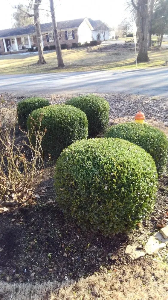 Professional yard cleanup service for residential properties in Bowling Green, KY by Bluecollar Lawn & Landscape