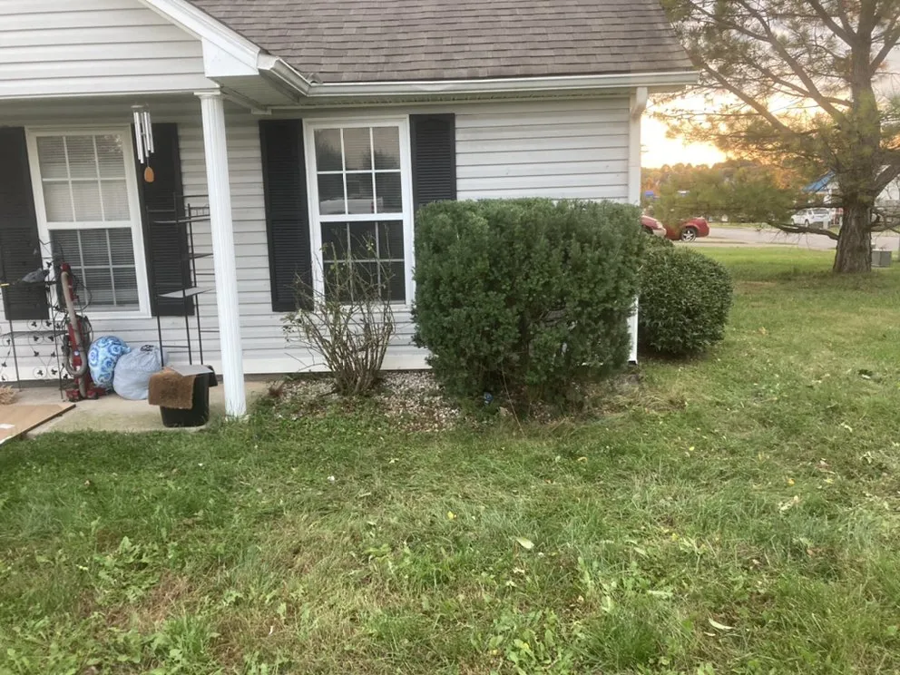 Local landscape design in Bowling Green, KY by Bluecollar Lawn & Landscape