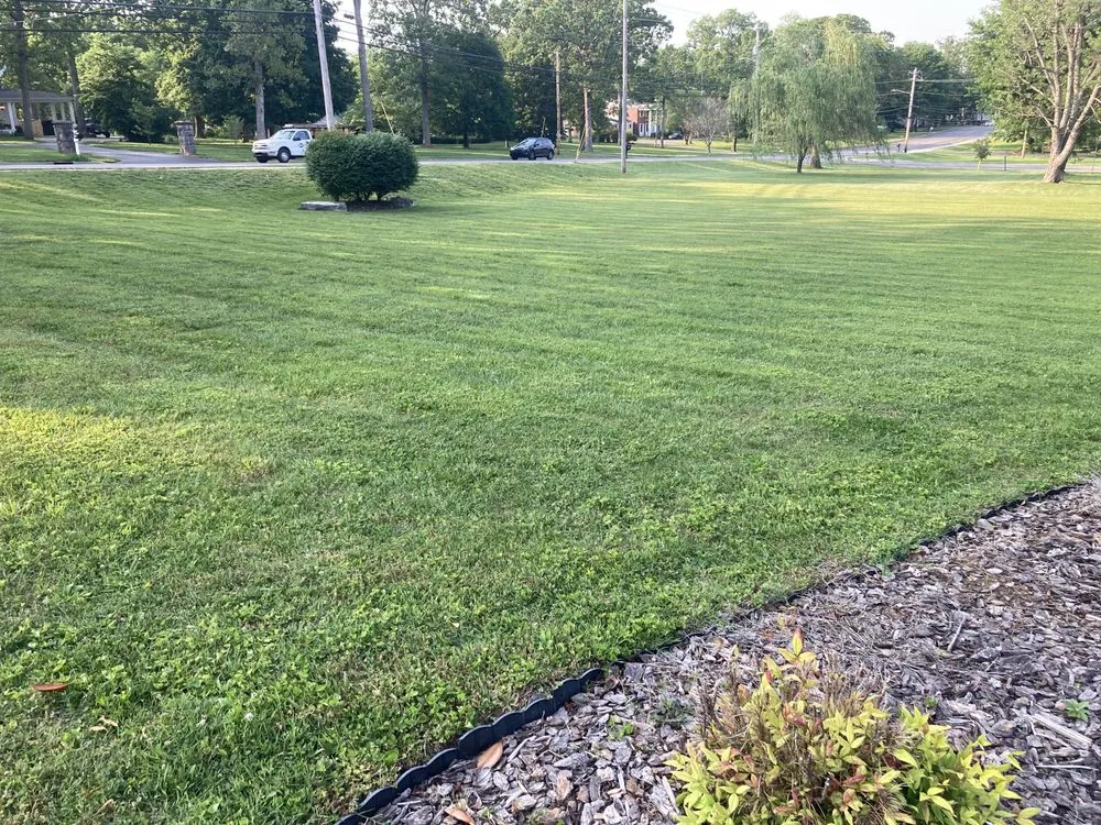 Local lawn mowing service in Bowling Green, KY by Bluecollar Lawn & Landscape