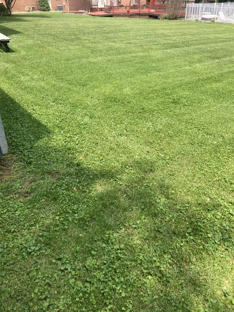 Trusted yard cleanup service for homes in Bowling Green, KY by Bluecollar Lawn & Landscape