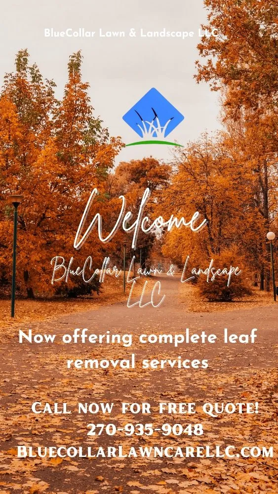 Affordable lawn care service for outdoor upgrades in Bowling Green, KY by Bluecollar Lawn & Landscape