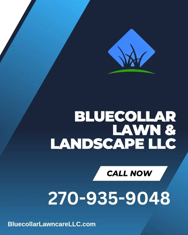 Expert landscaping services in Bowling Green, KY - Bluecollar Lawn & Landscape