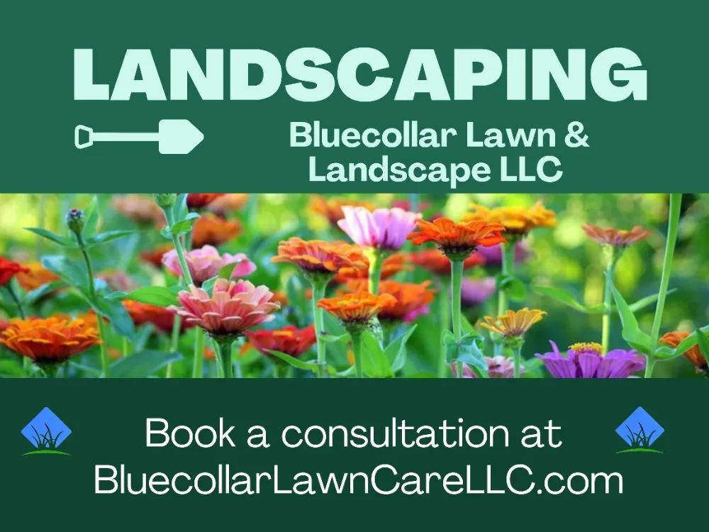 Expert landscaping services experts serving Bowling Green, KY - Bluecollar Lawn & Landscape