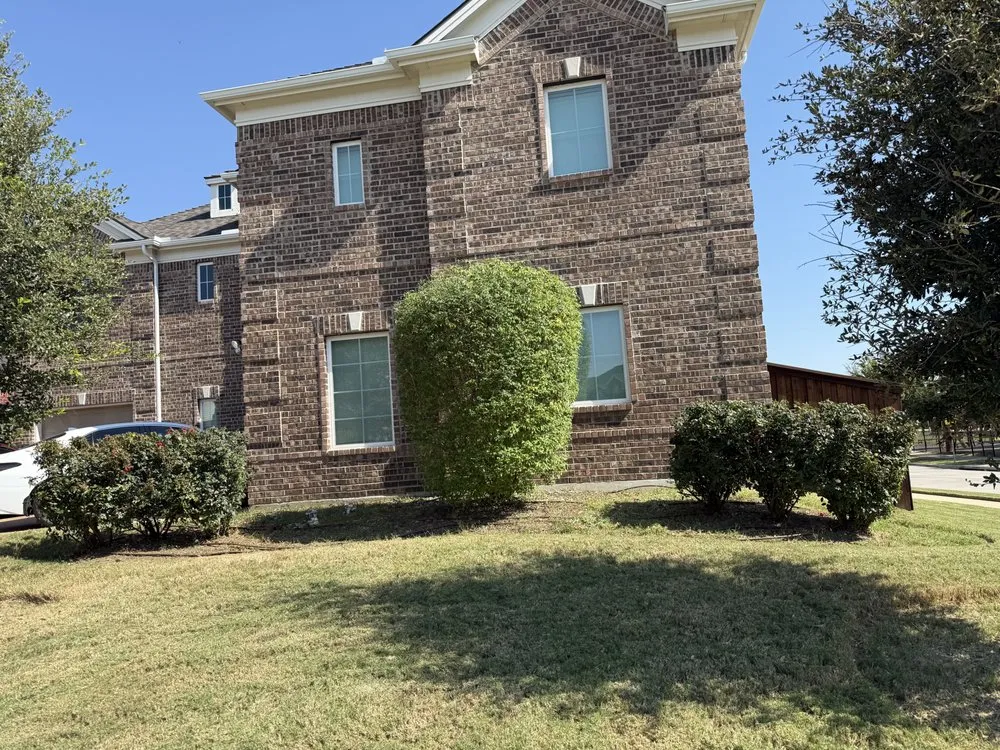 Reliable landscape design for outdoor upgrades across Little Elm, TX - Bluefin Lawn & Outdoor Solutions