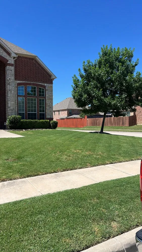 Professional yard maintenance in Little Elm, TX by Bluefin Lawn & Outdoor Solutions