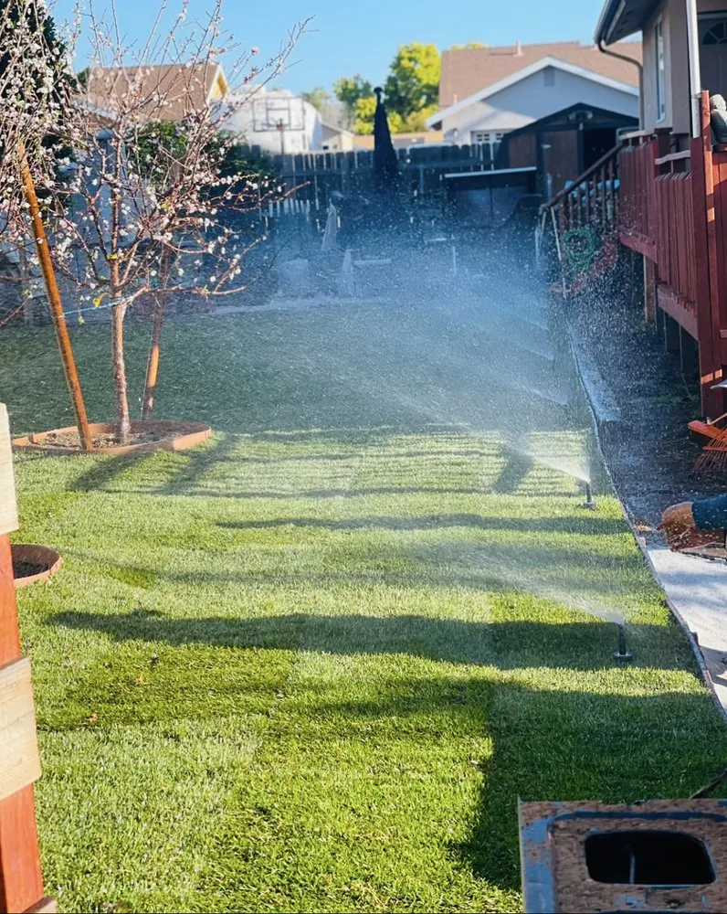 Expert yard maintenance experts serving Temecula, CA - Bluefire Xscape