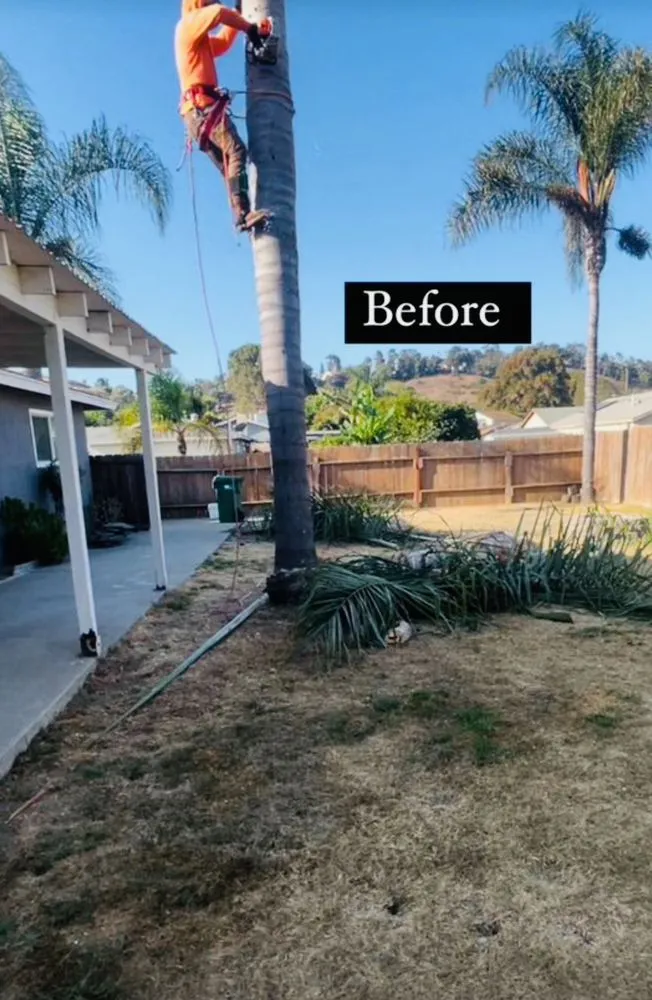 Expert lawn mowing service for homes in Temecula, CA by Bluefire Xscape