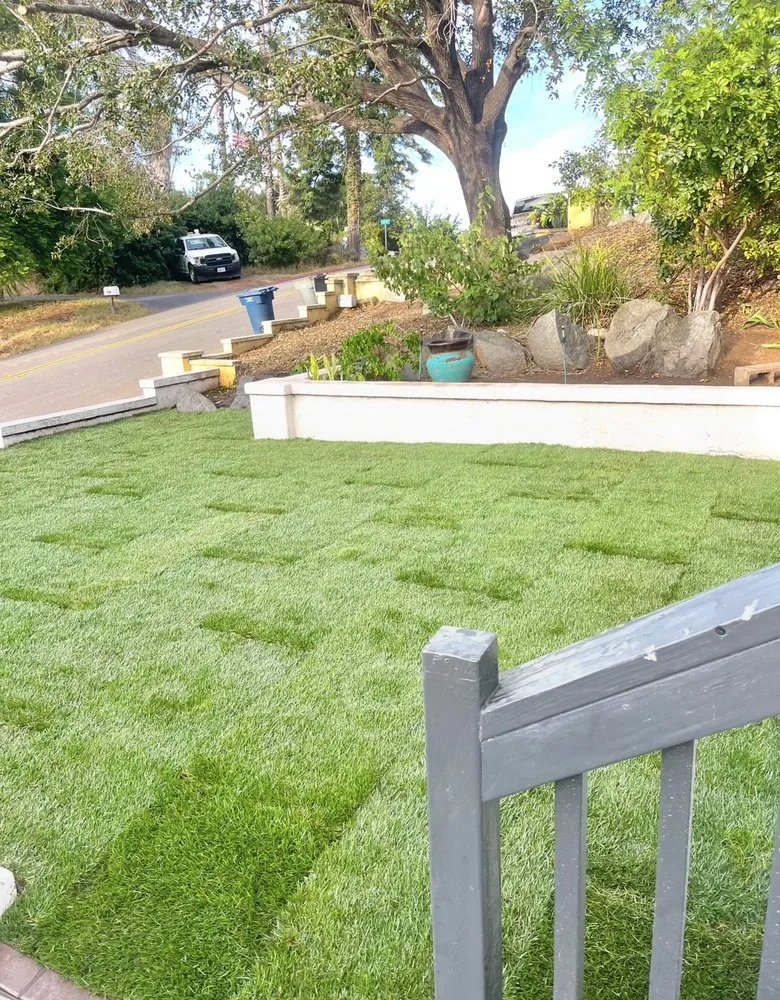 Affordable garden landscaping in Temecula, CA by Bluefire Xscape