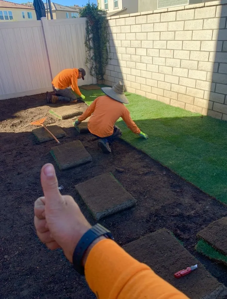 Trusted lawn care service near you in Temecula, CA by Bluefire Xscape